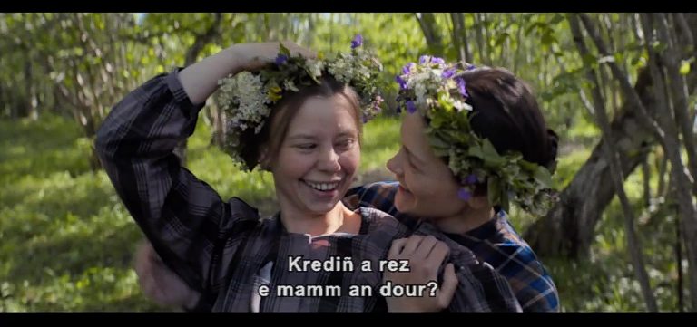 Ar Wezenn Hud, nos films sous-titrés en langue bretonne au cinéma et à la maison